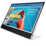 HP E14 G4 Portable Monitor (1B065AA)