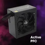 Zebronics ZEB-PGP450W 80+